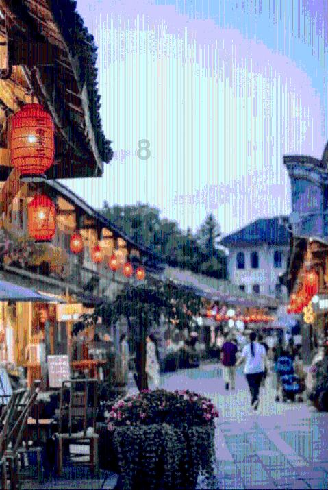 阴暗森林